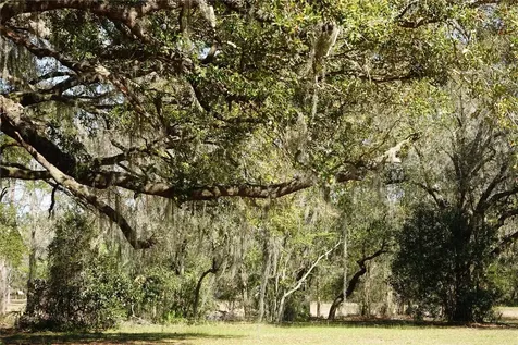22838 Bungalow Lane Land O Lakes FL 34639