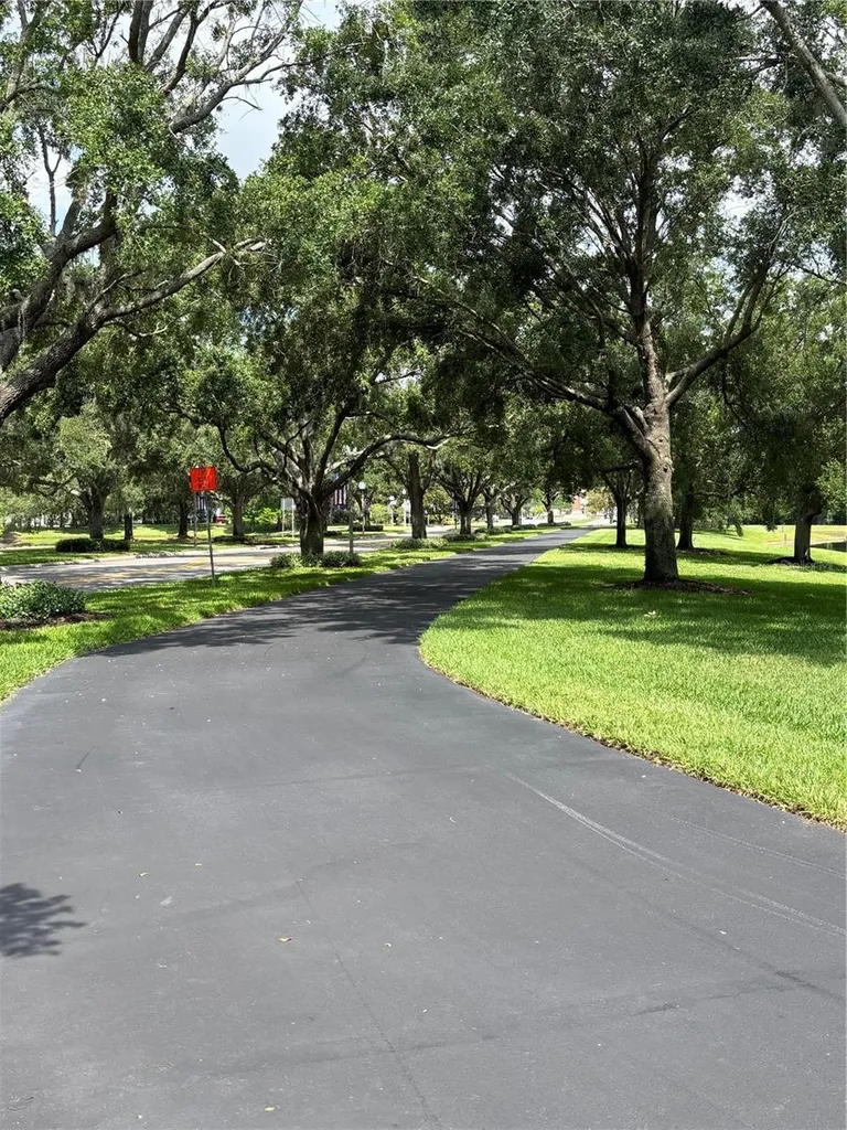 15532 Avenue Of The Arbors Winter Garden FL 34787