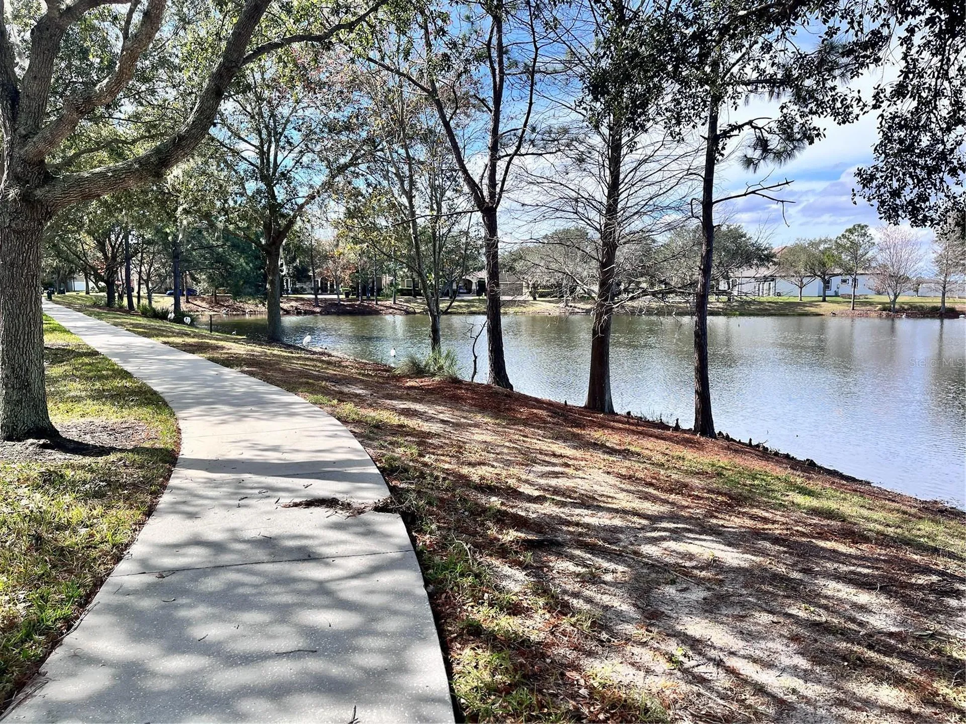 15532 Avenue Of The Arbors Winter Garden FL 34787