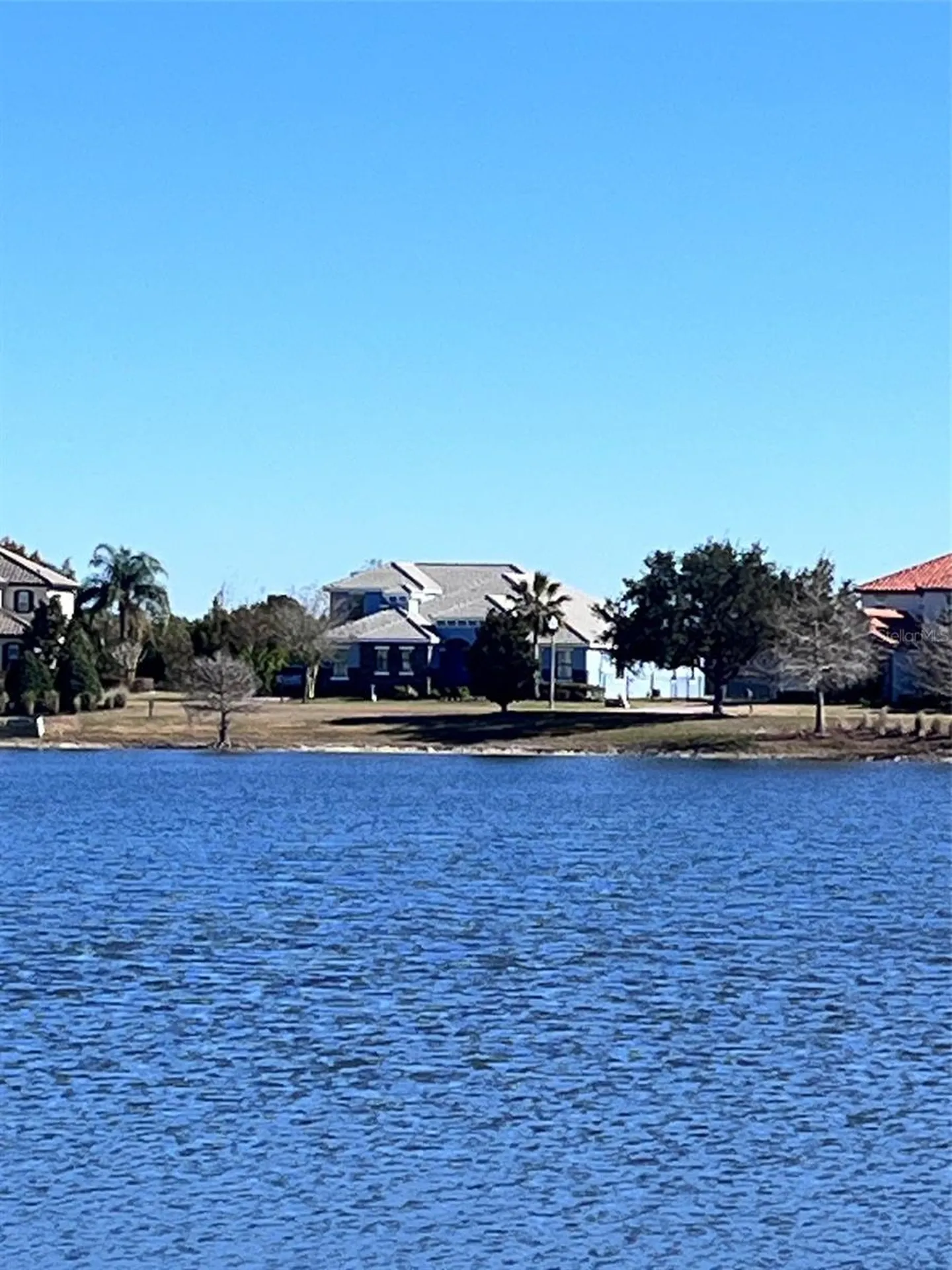 15532 Avenue Of The Arbors Winter Garden FL 34787