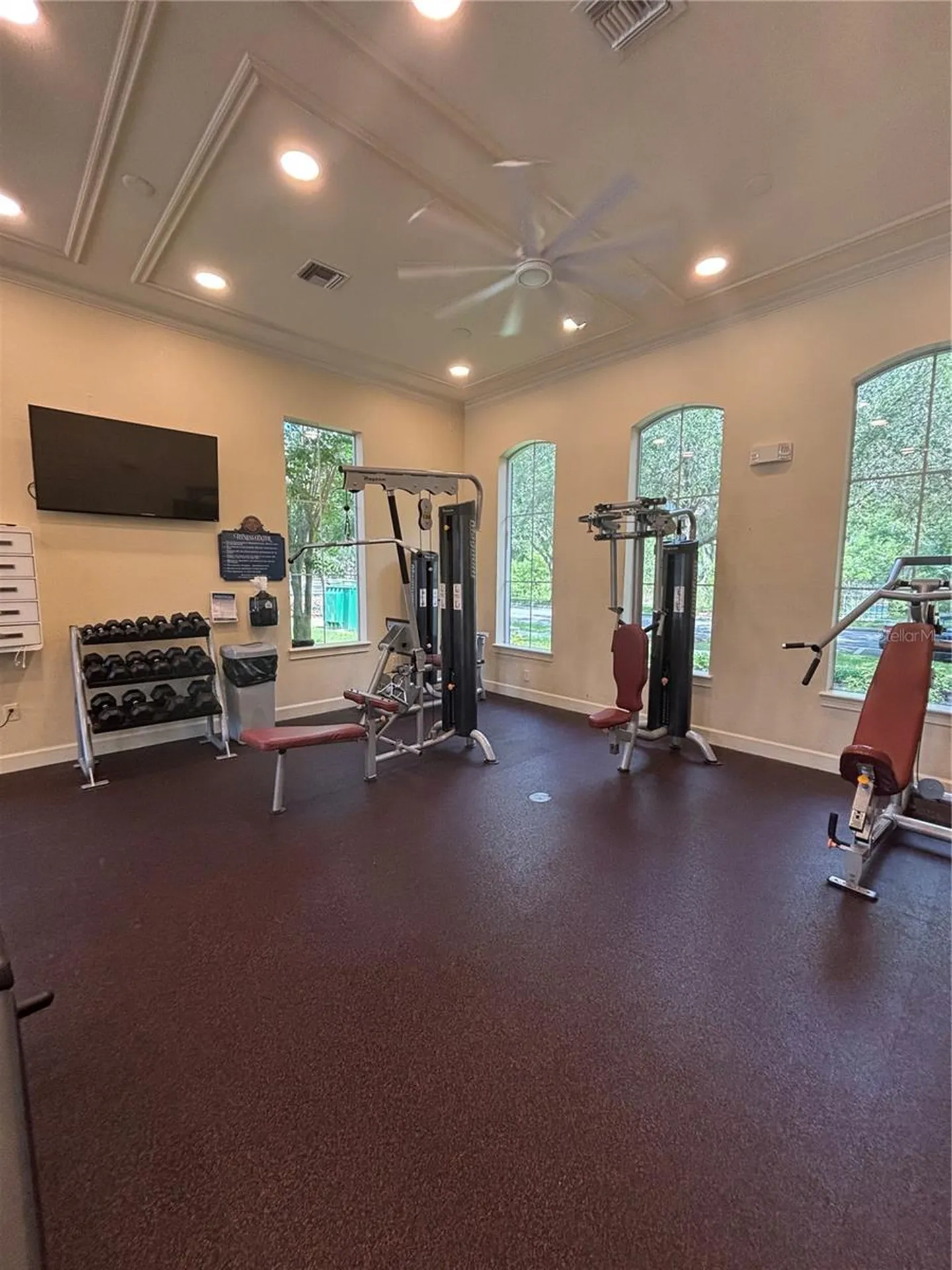 15532 Avenue Of The Arbors Winter Garden FL 34787