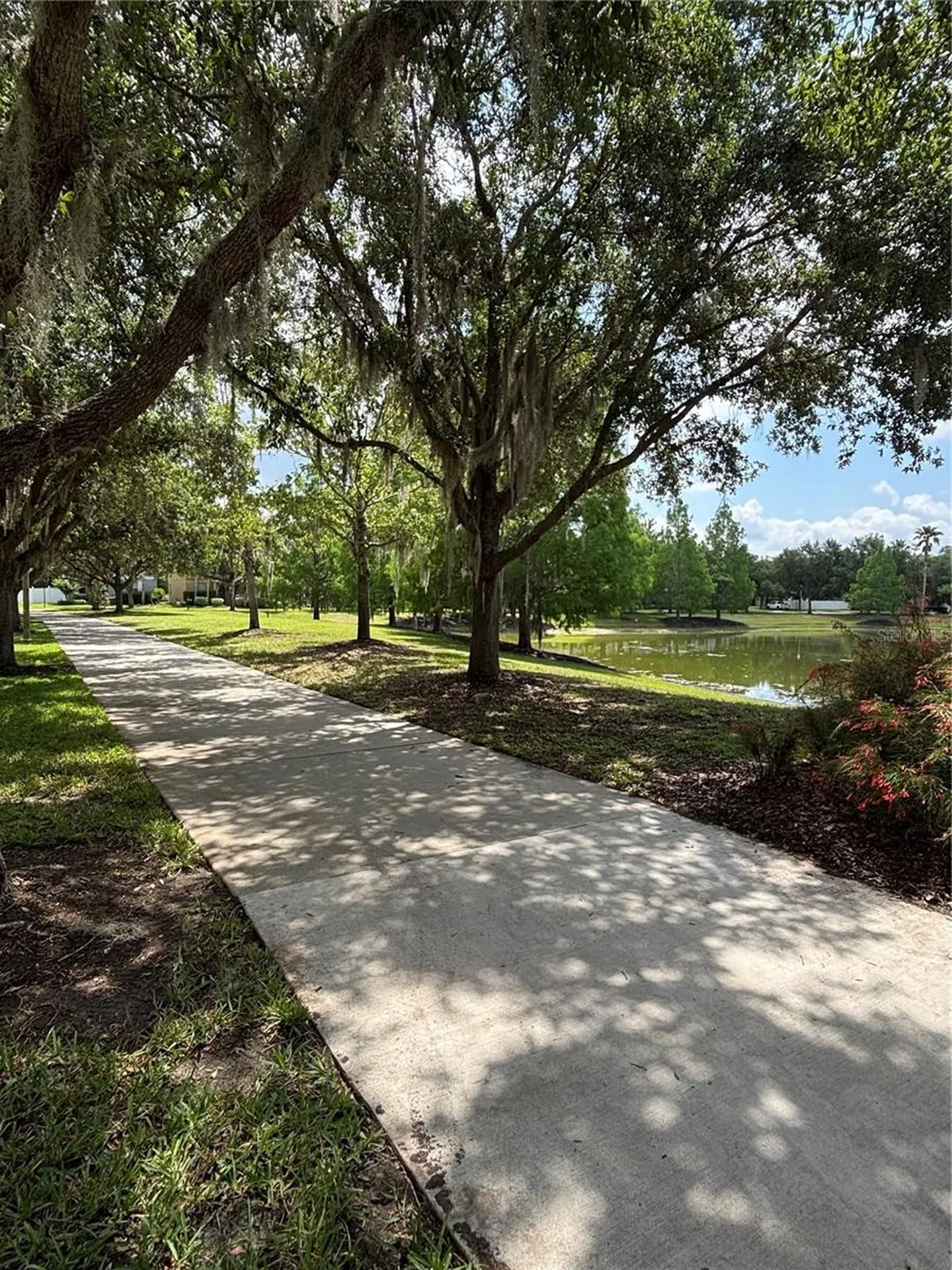 15532 Avenue Of The Arbors Winter Garden FL 34787