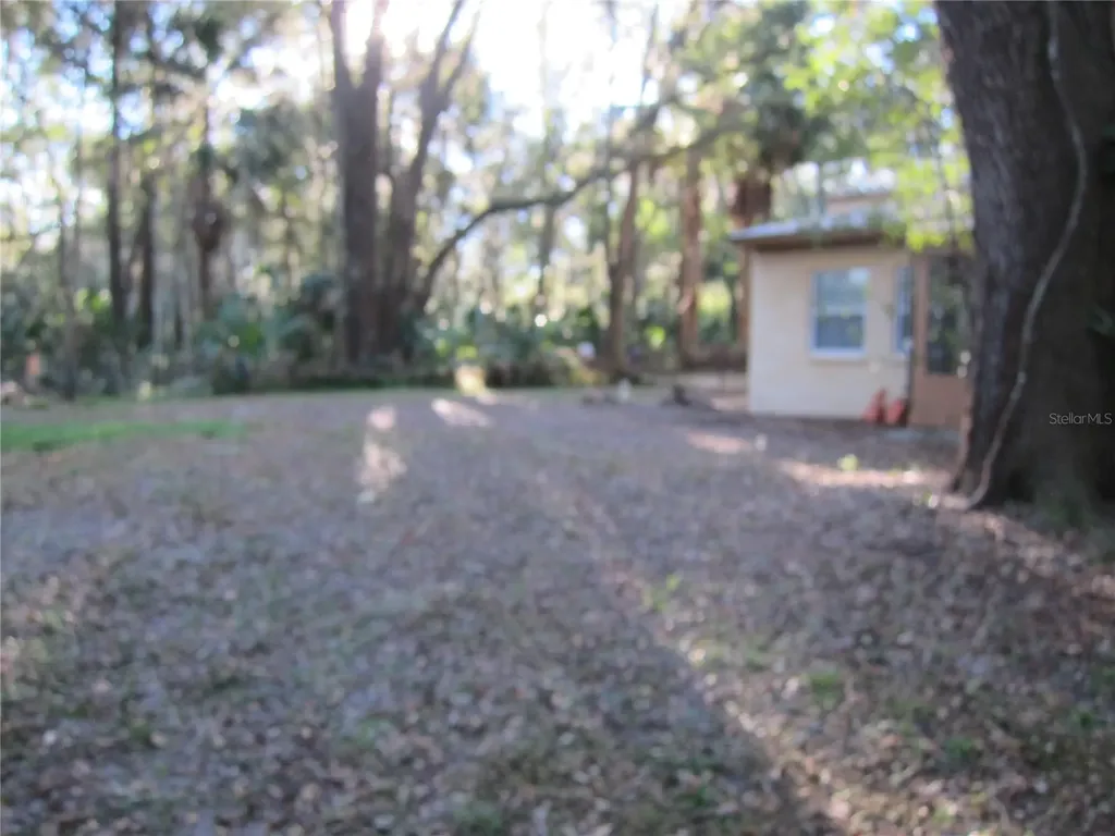 208 NE 7 Place Micanopy FL 32667