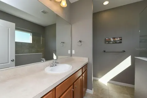 16823 Destrehen Court Parrish FL 34219