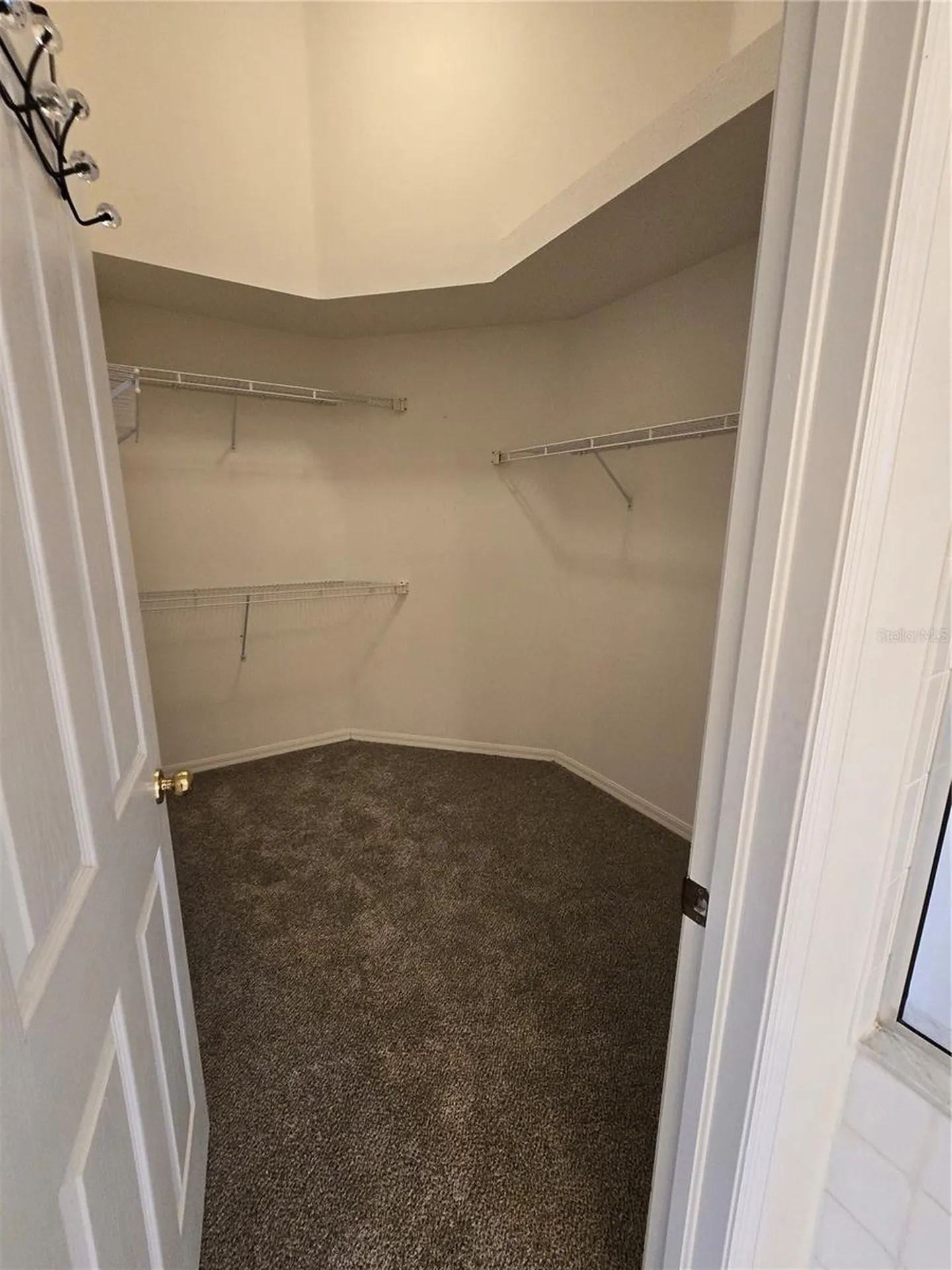 24505 Landing Drive Lutz FL 33559