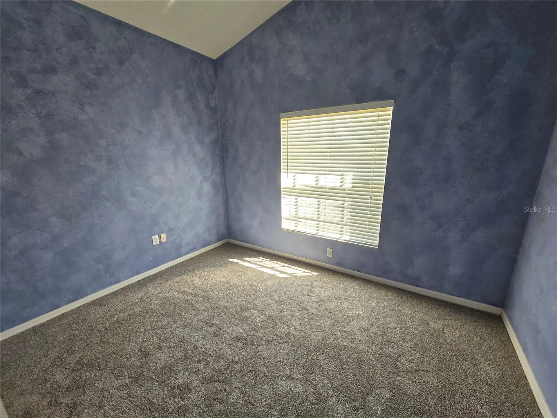 24505 Landing Drive Lutz FL 33559