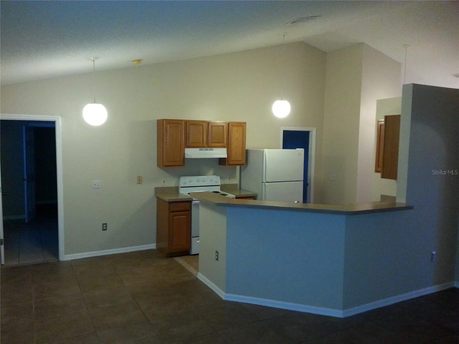 221 Cobalt Drive Kissimmee FL 34758
