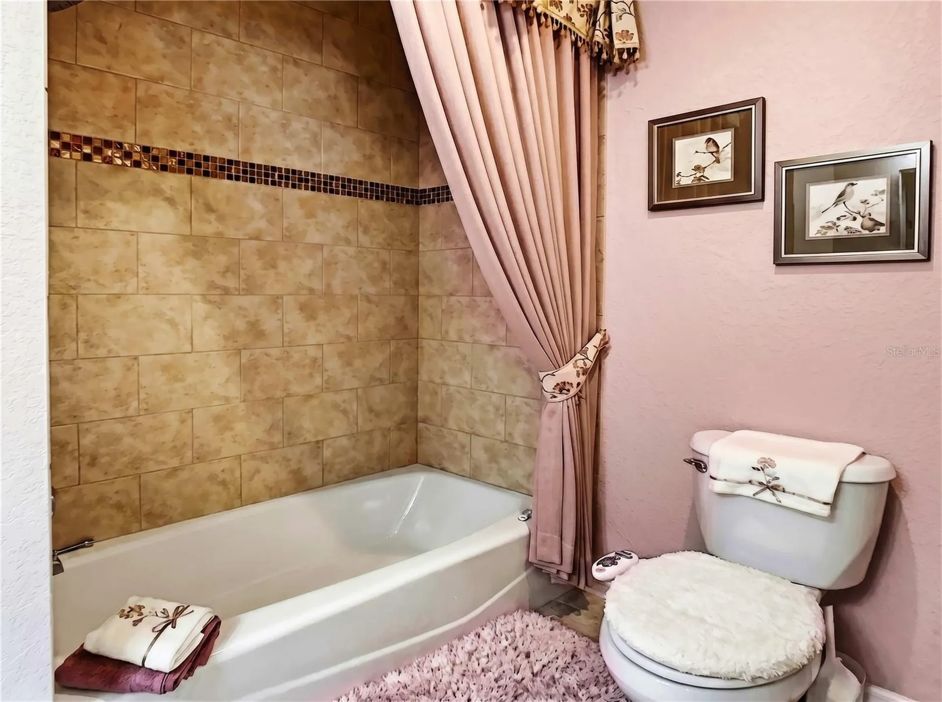 6781 Basswood Circle Zephyrhills FL 33542