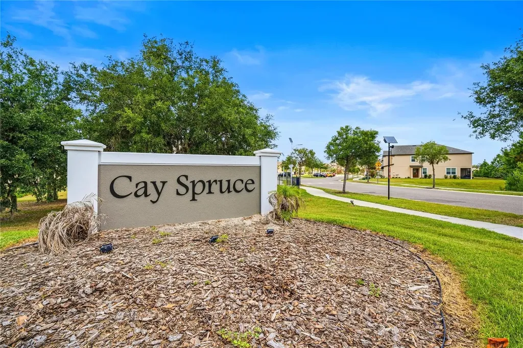 11240 Cay Spruce Way San Antonio FL 33576