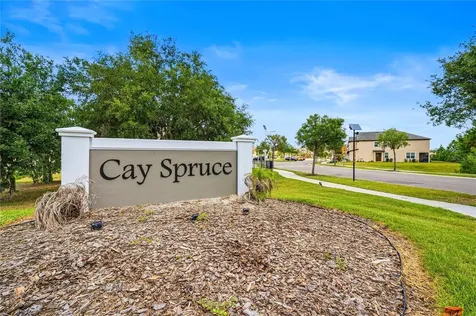 11240 Cay Spruce Way San Antonio FL 33576