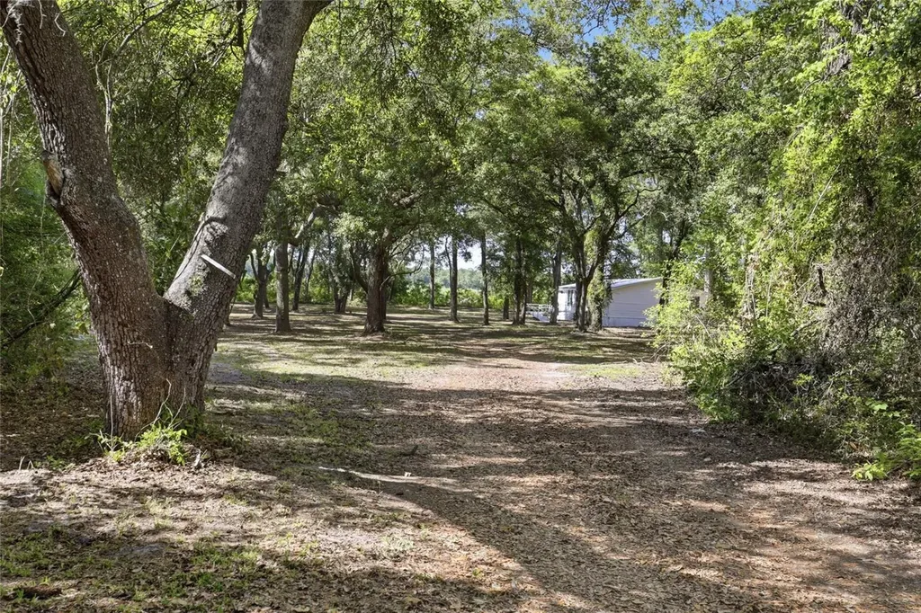 7651 NW 153rd Lane Chiefland FL 32626