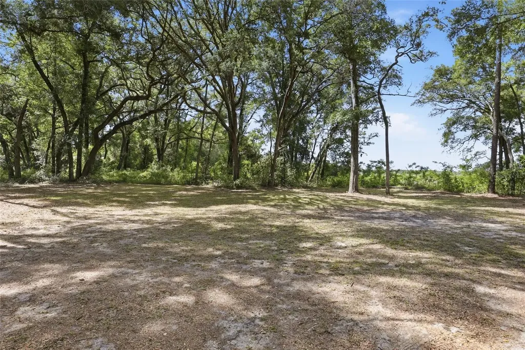7651 NW 153rd Lane Chiefland FL 32626