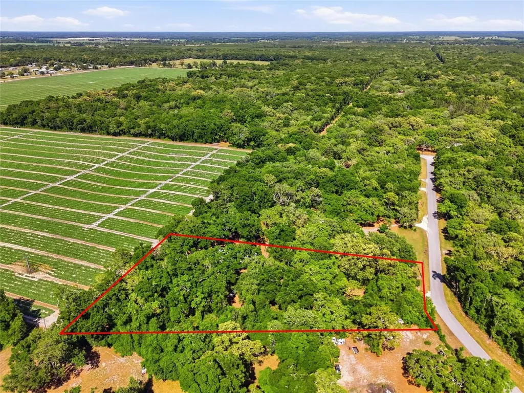 7651 NW 153rd Lane Chiefland FL 32626