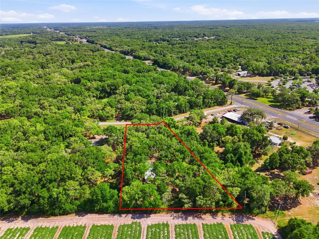 7651 NW 153rd Lane Chiefland FL 32626