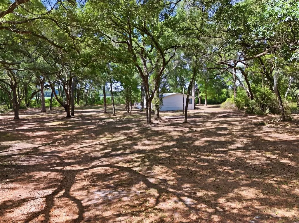 7651 NW 153rd Lane Chiefland FL 32626