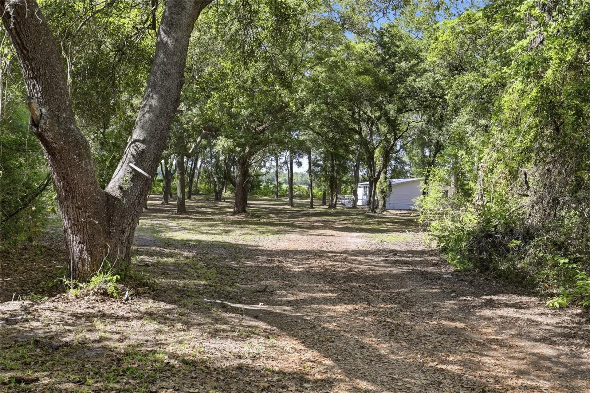 7651 NW 153rd Lane Chiefland FL 32626