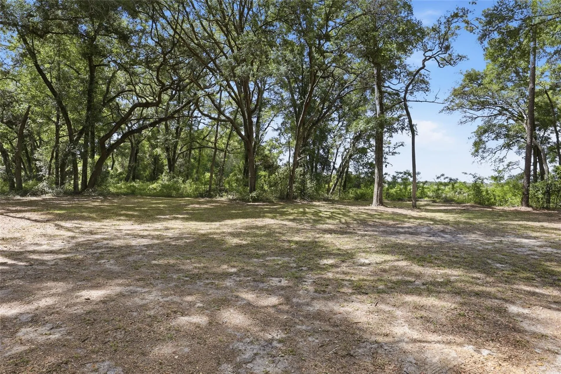 7651 NW 153rd Lane Chiefland FL 32626