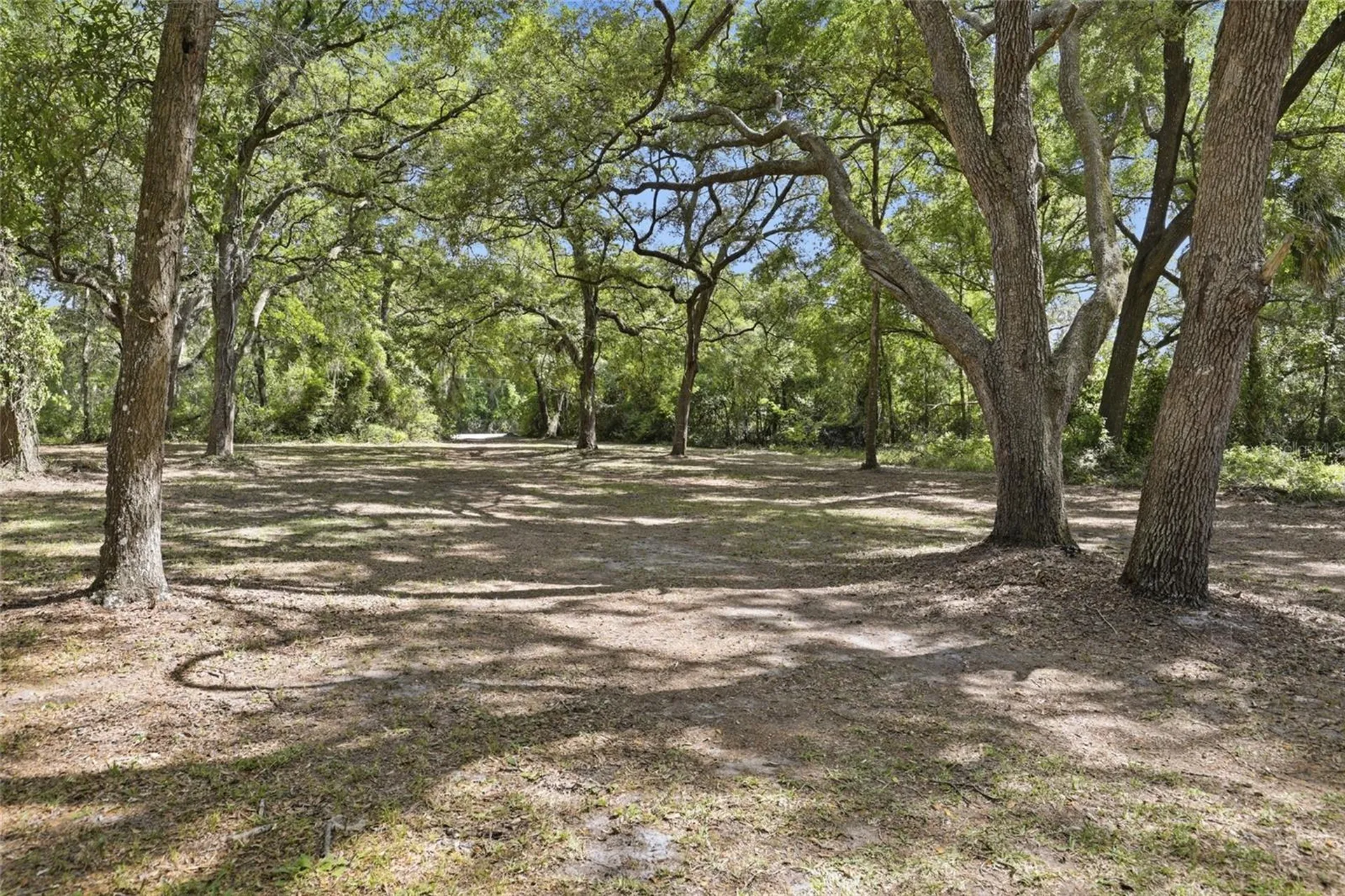 7651 NW 153rd Lane Chiefland FL 32626