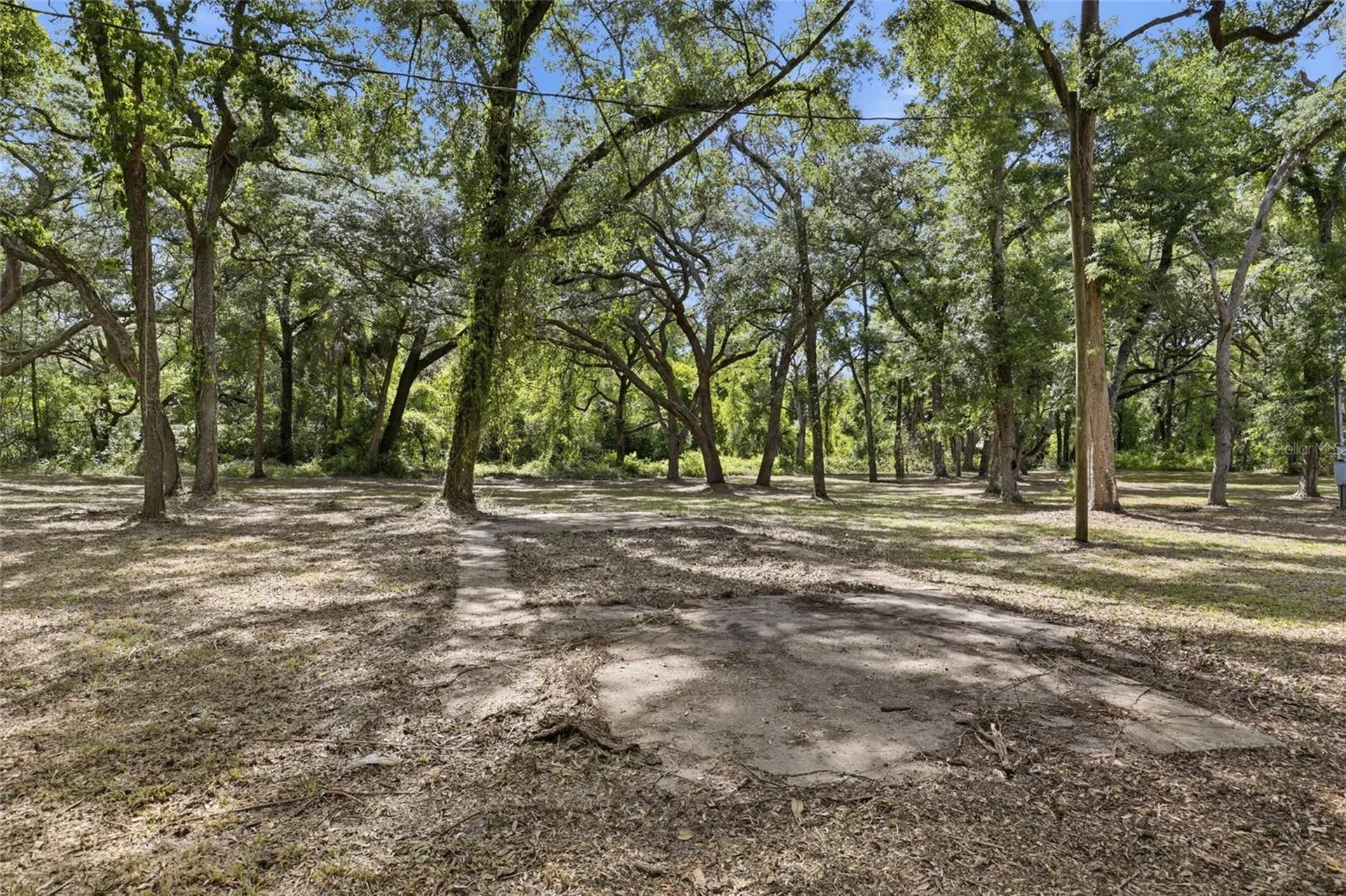 7651 NW 153rd Lane Chiefland FL 32626