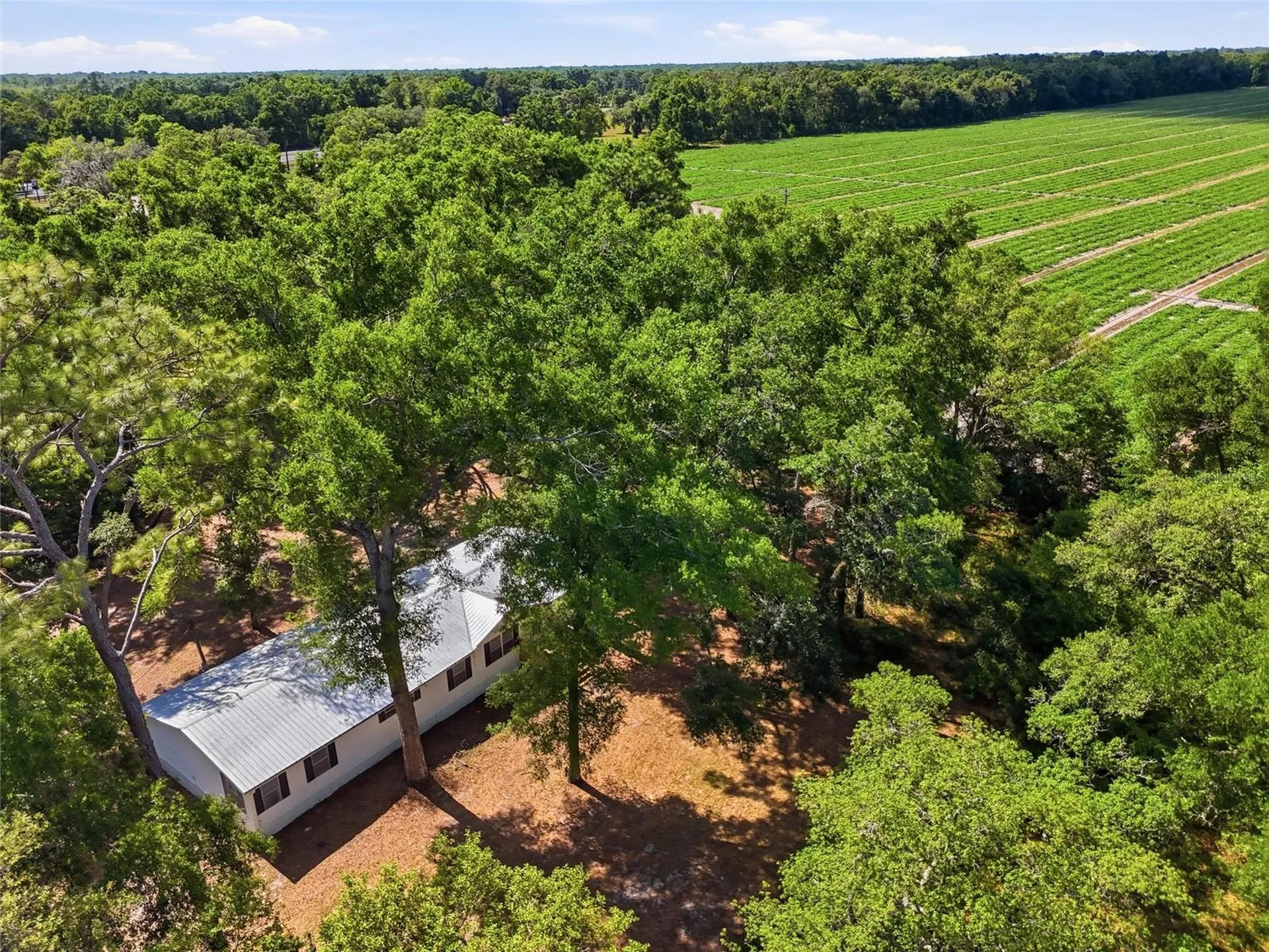 7651 NW 153rd Lane Chiefland FL 32626