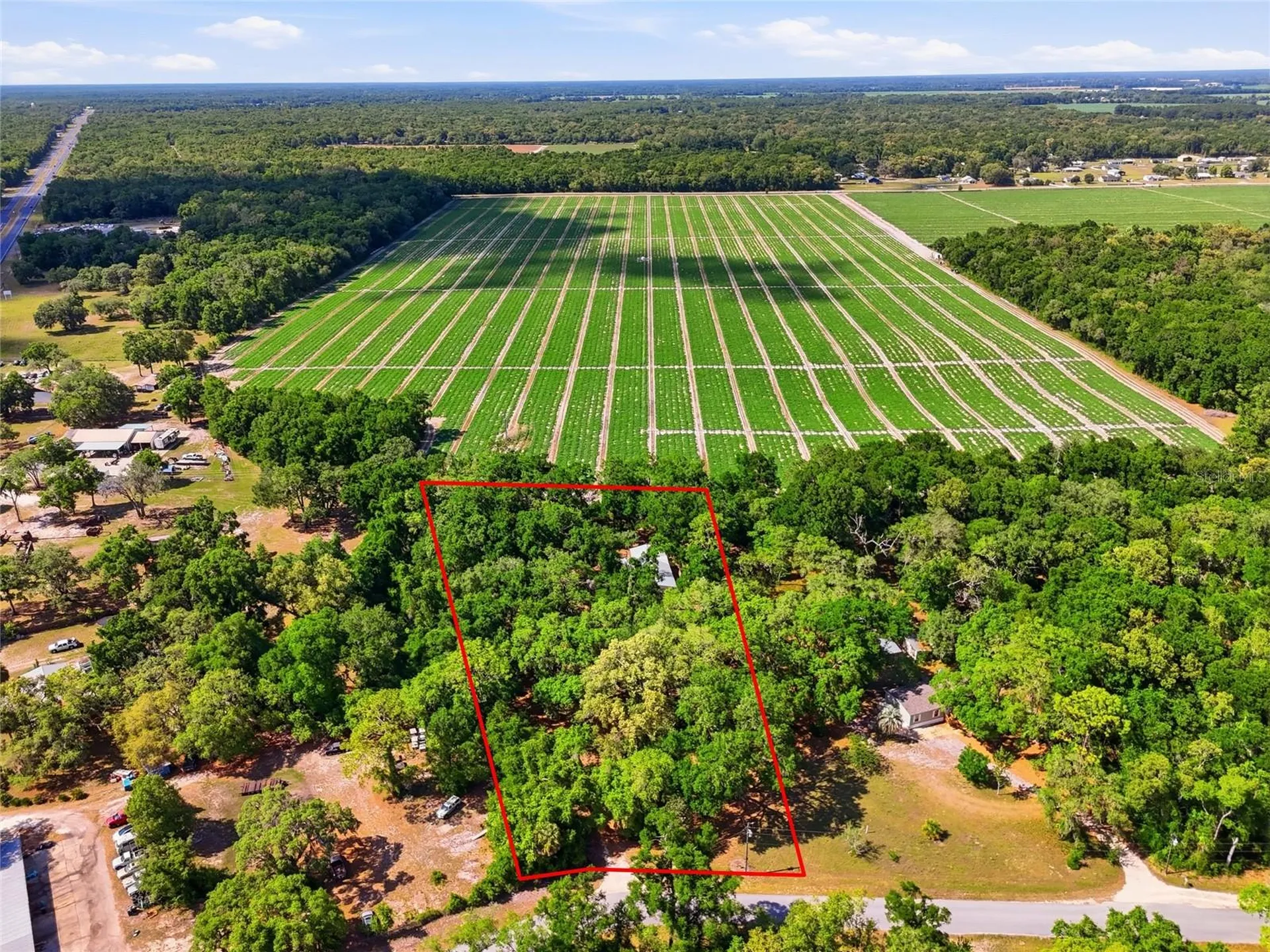 7651 NW 153rd Lane Chiefland FL 32626