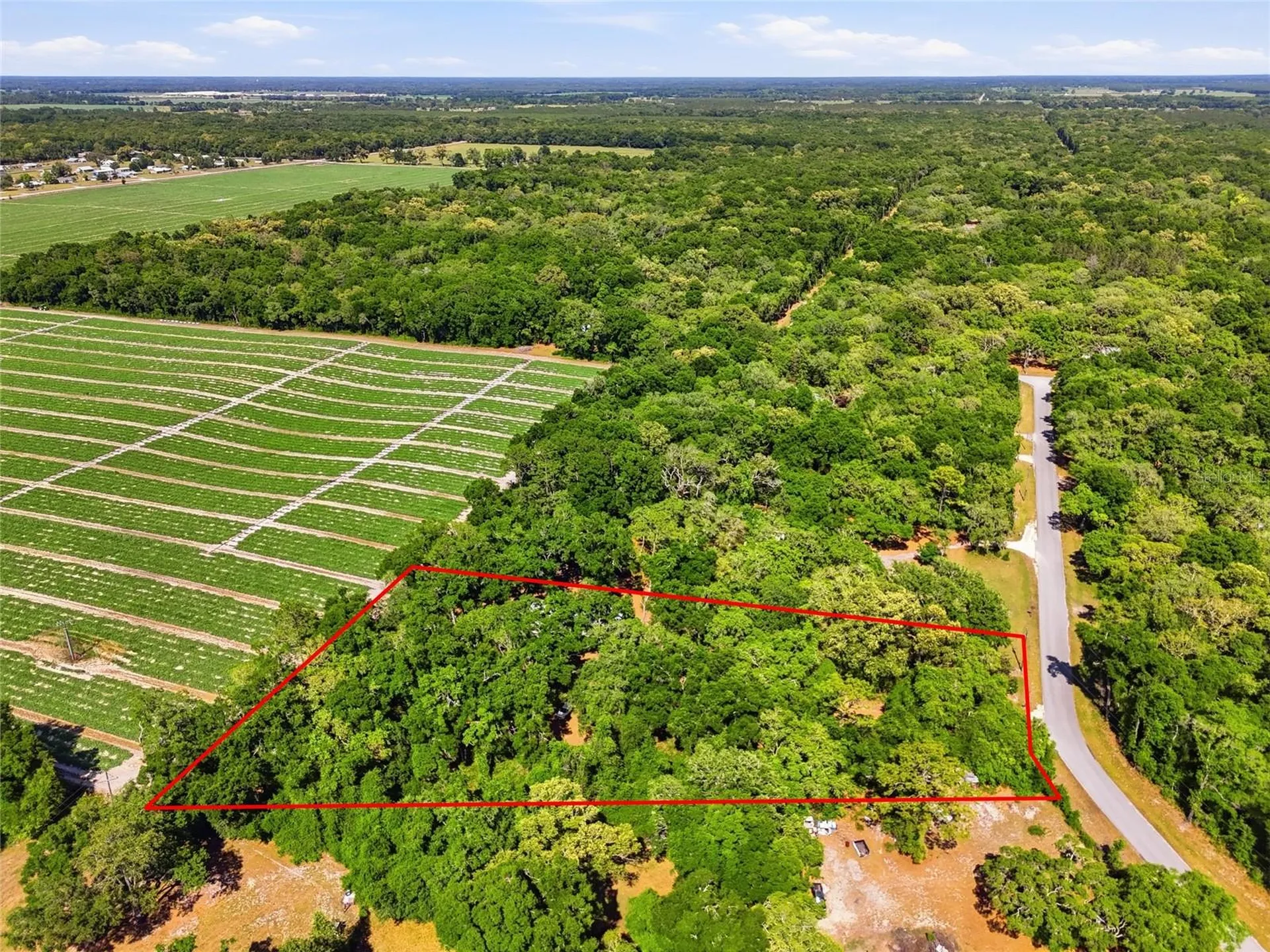 7651 NW 153rd Lane Chiefland FL 32626