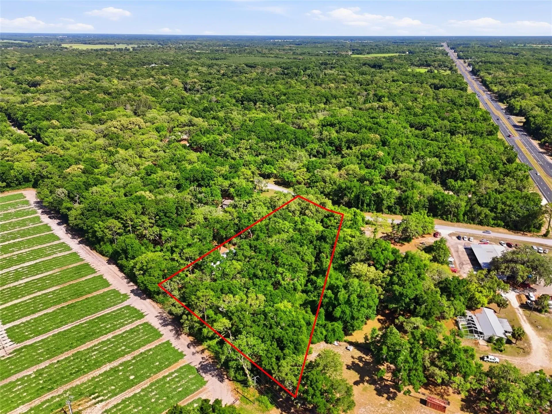 7651 NW 153rd Lane Chiefland FL 32626