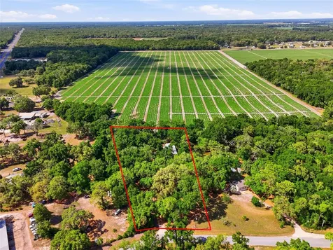 7651 NW 153rd Lane Chiefland FL 32626