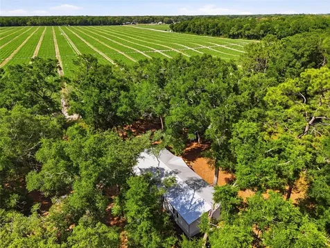 7651 NW 153rd Lane Chiefland FL 32626