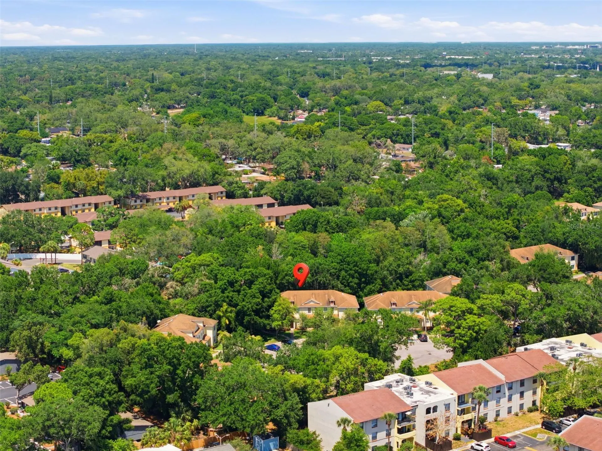 2049 Fiesta Ridge Court Tampa FL 33604