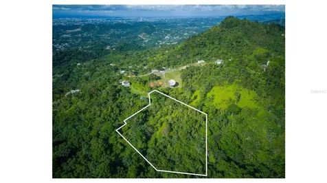 Pr 879 Bo Guaraguao Arriba Bayamon PR 00956