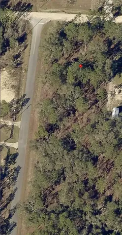 13700 SW 81st Street Dunnellon FL 34432