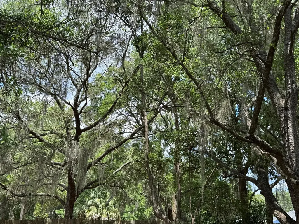 1639 Spring Lake Road Fruitland Park FL 34731