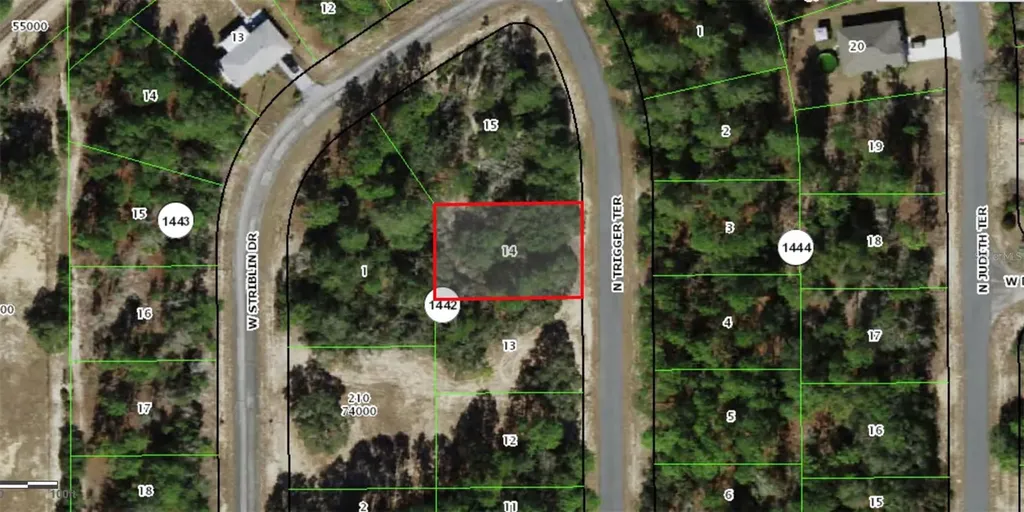 11126 N Trigger Terrace Citrus Springs FL 34433