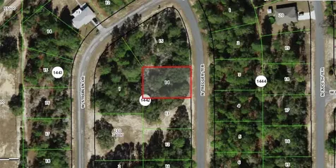11126 N Trigger Terrace Citrus Springs FL 34433