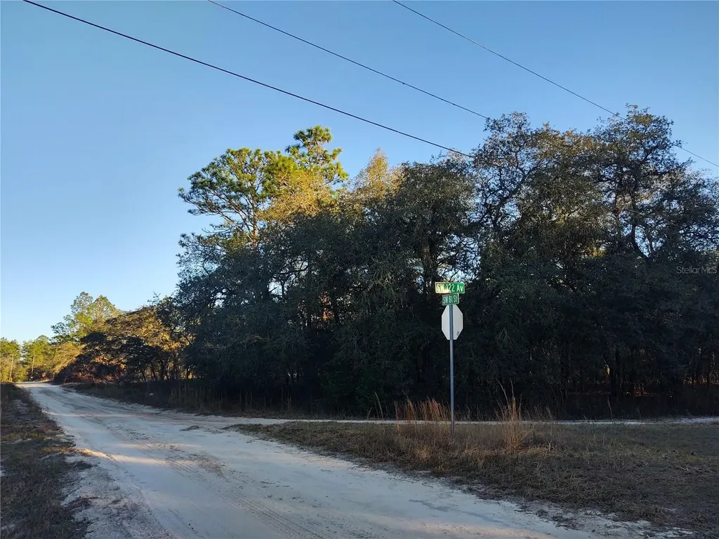 Tbd SW 81st Street SW Dunnellon FL 34432
