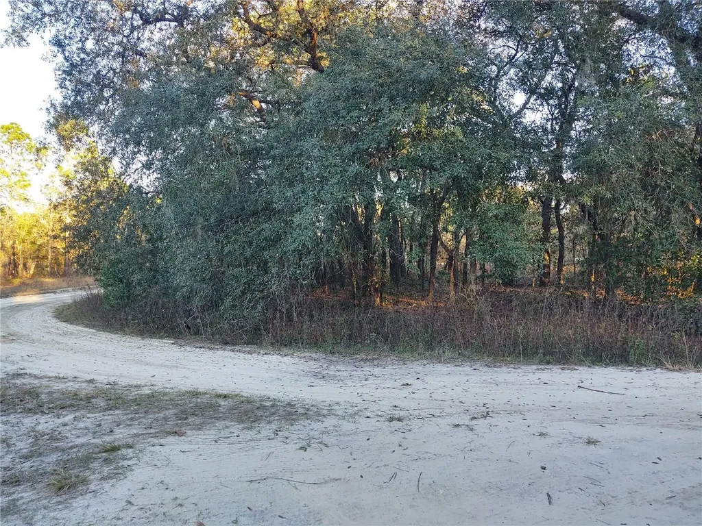 Tbd SW 81st Street SW Dunnellon FL 34432