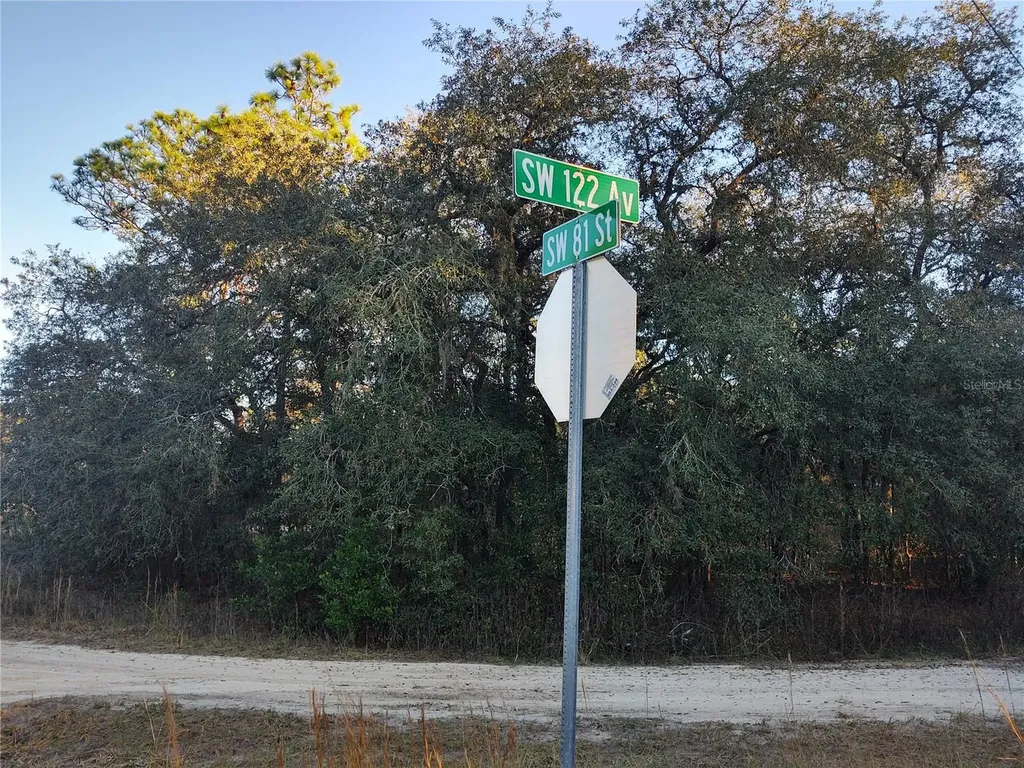 Tbd SW 81st Street SW Dunnellon FL 34432