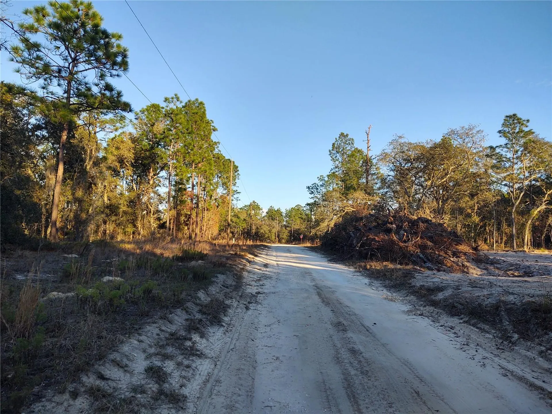 Tbd SW 81st Street SW Dunnellon FL 34432