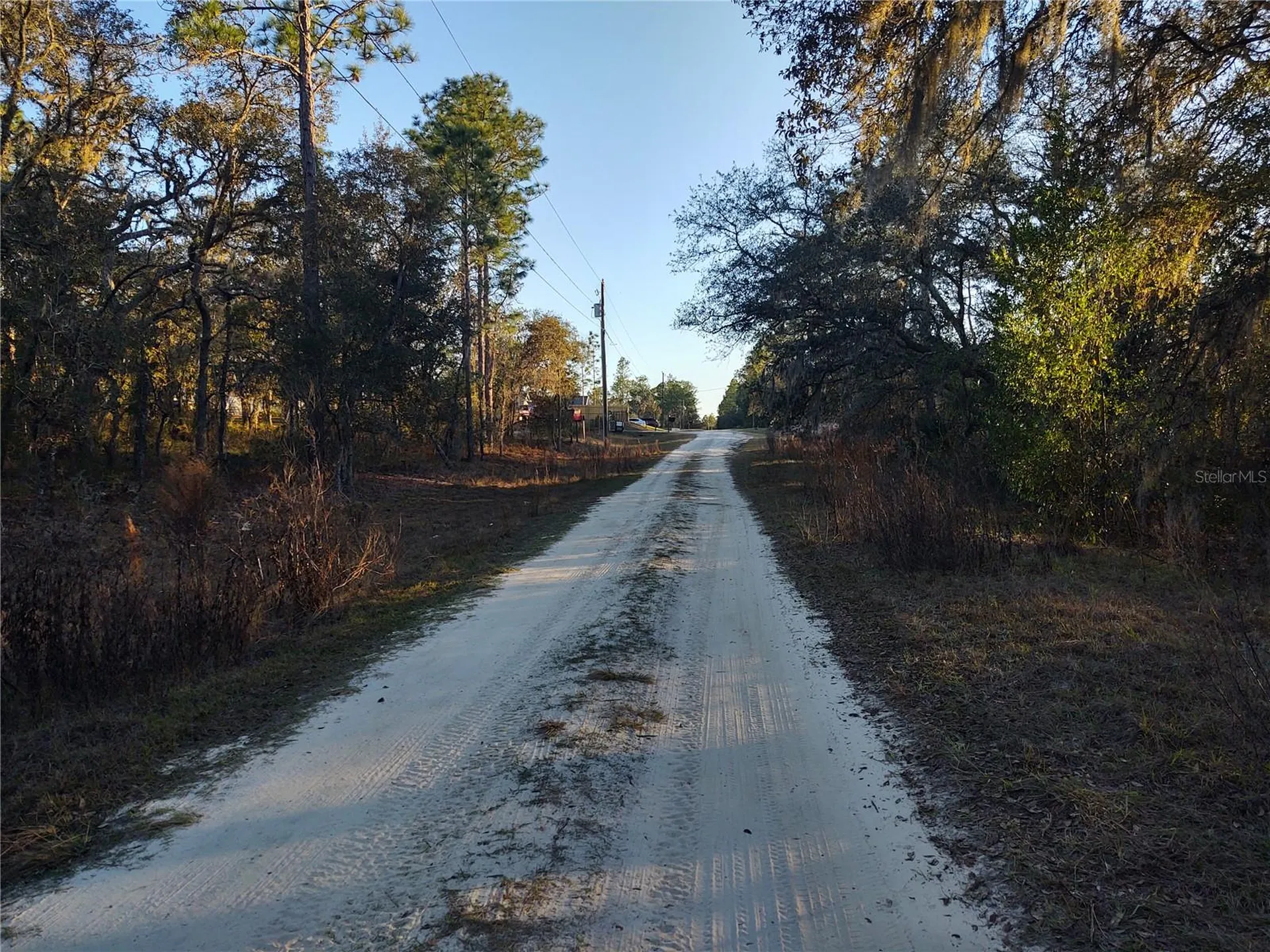 Tbd SW 81st Street SW Dunnellon FL 34432