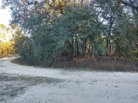 Tbd SW 81st Street SW Dunnellon FL 34432