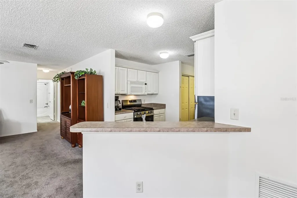 2019 Thurmond Avenue The Villages FL 32162