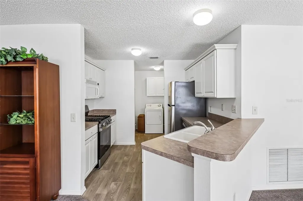 2019 Thurmond Avenue The Villages FL 32162