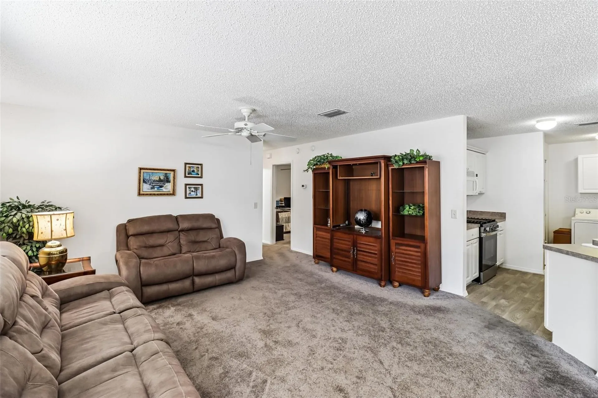 2019 Thurmond Avenue The Villages FL 32162