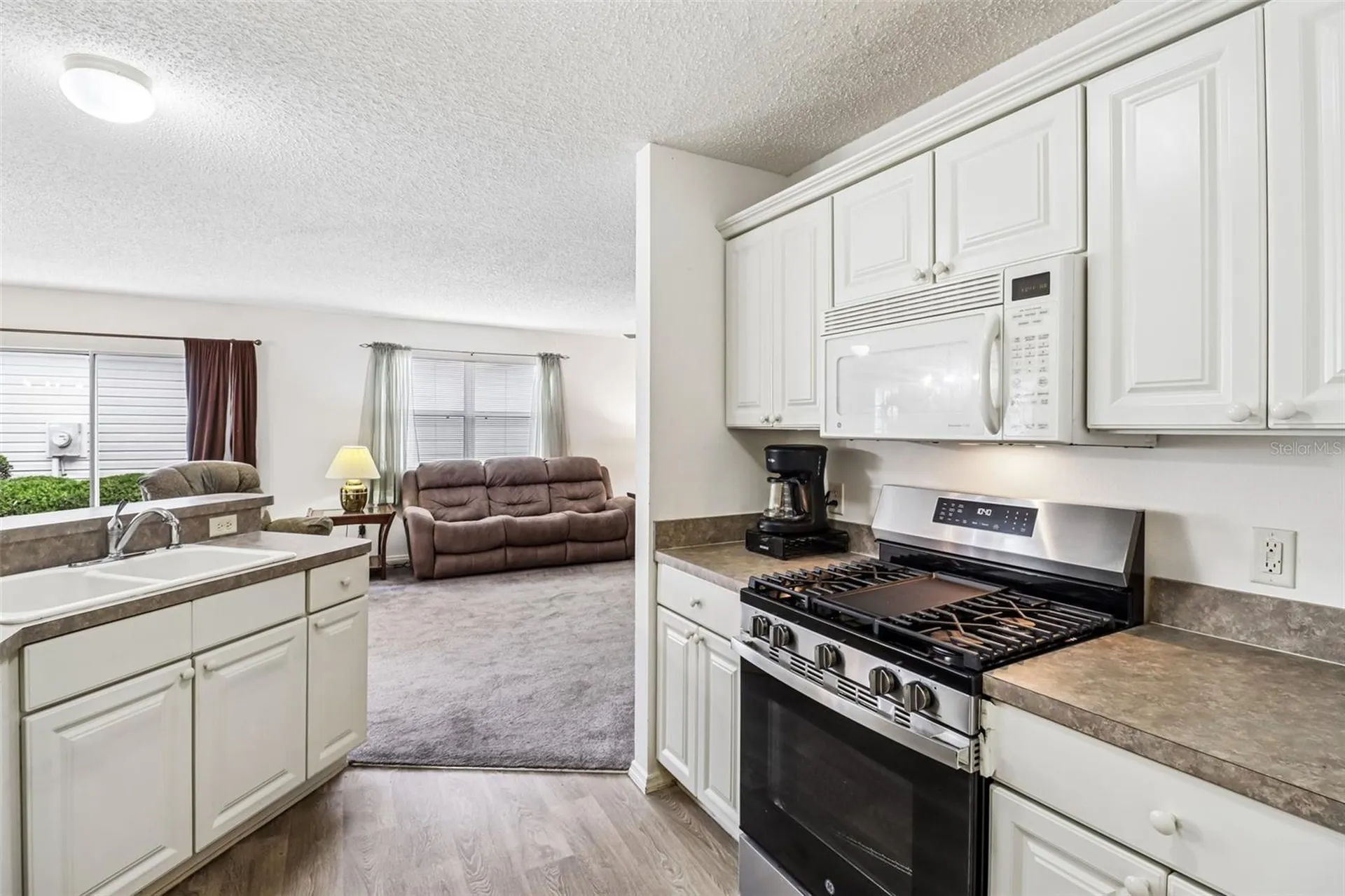 2019 Thurmond Avenue The Villages FL 32162