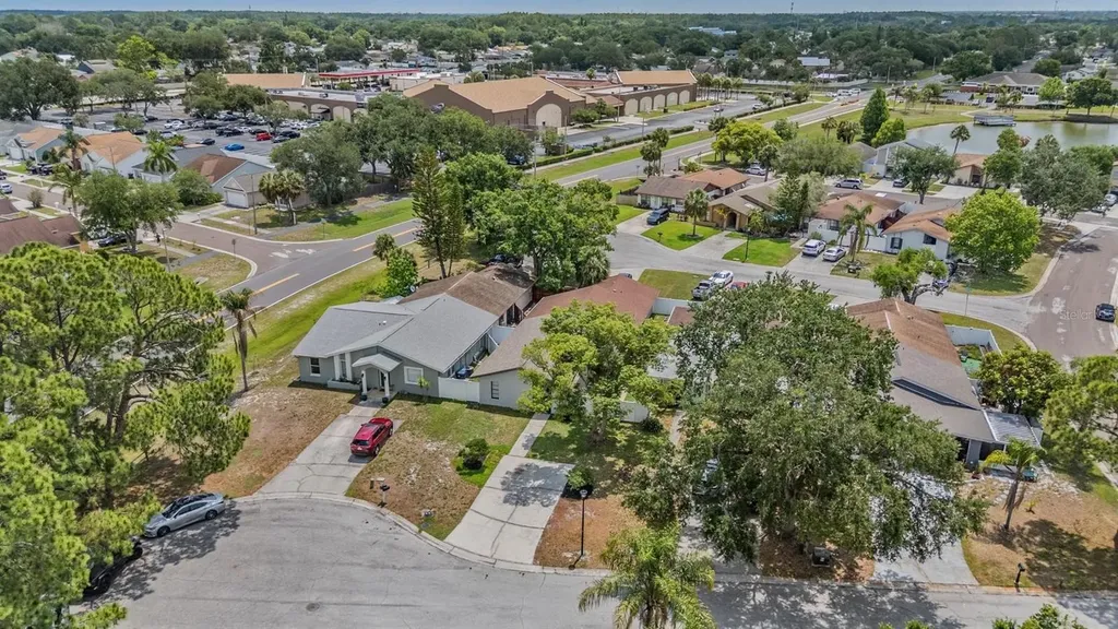 11005 Underwood Place Tampa FL 33624