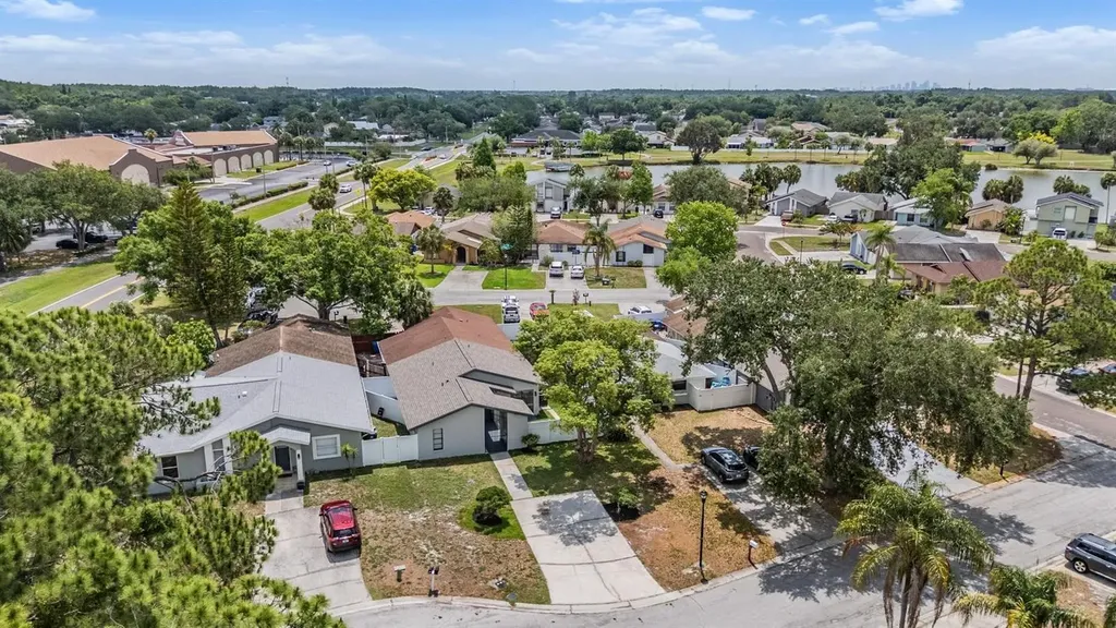 11005 Underwood Place Tampa FL 33624
