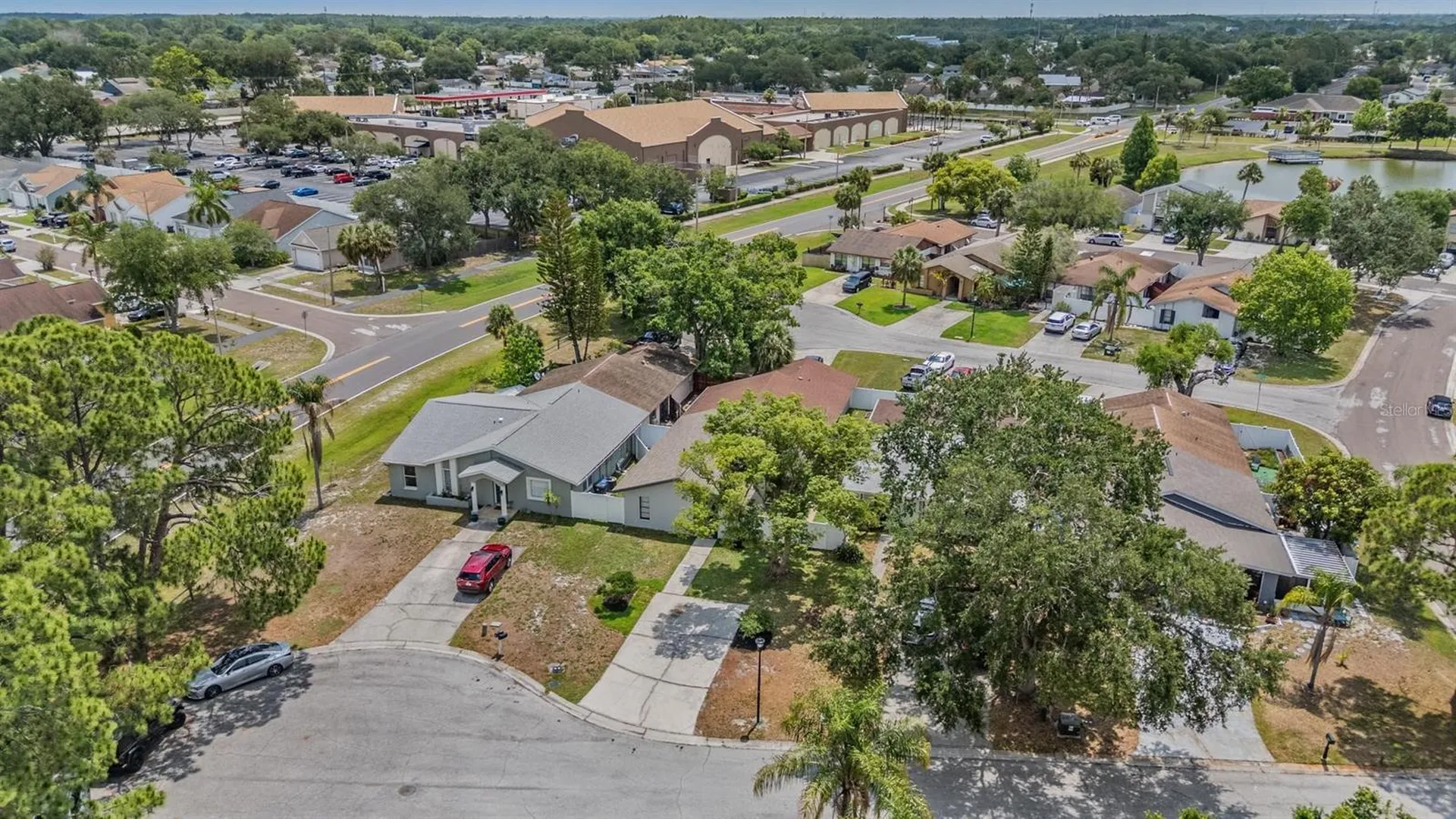 11005 Underwood Place Tampa FL 33624
