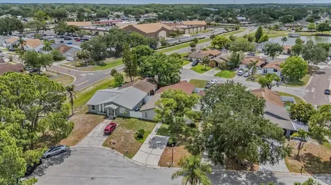 11005 Underwood Place Tampa FL 33624