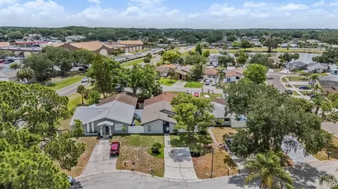 11005 Underwood Place Tampa FL 33624
